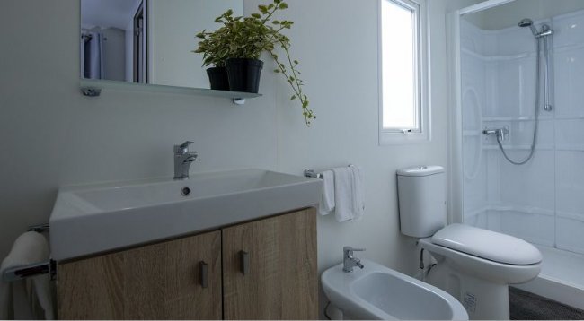 Bagno con doccia, lavabo e pianta.