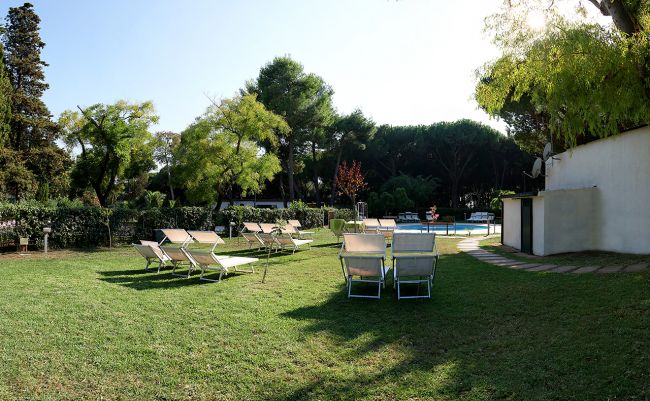 Lettini su prato verde vicino a una piscina tra gli alberi.