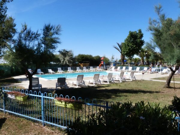 Piscina all'aperto con sdraio, recinzione e alberi attorno.