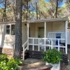 offerte mare Camping Village Riva Dei Greci - Metaponto