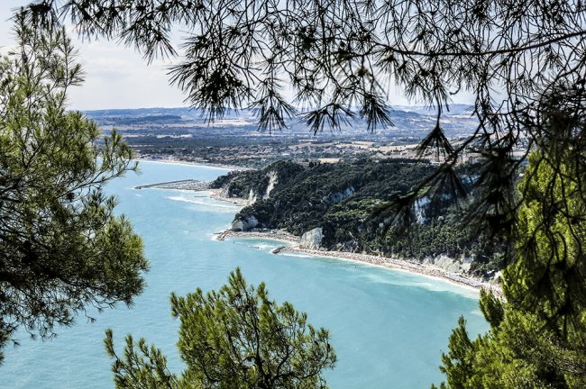 Vista panoramica di una costa alberata sul mare.