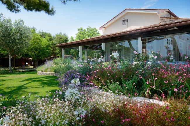 Un giardino fiorito accanto a un edificio.