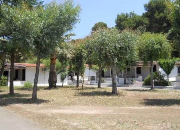 Edifici bianchi circondati da alberi con cortile erboso.